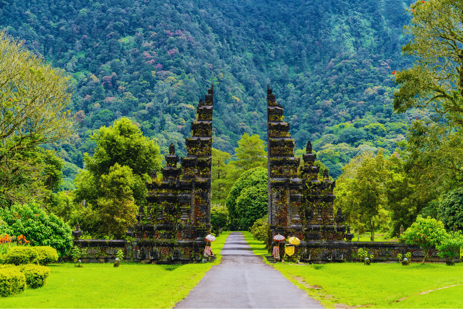 Blissful Bali