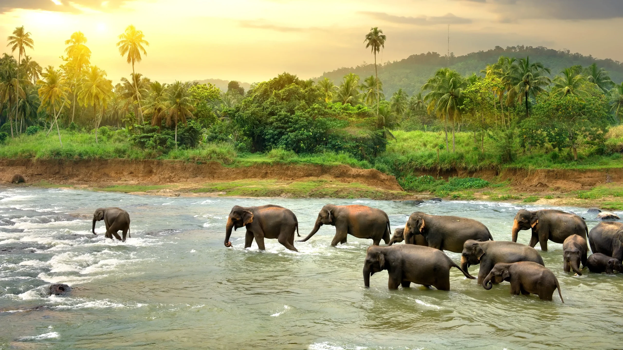 Scenic Sri Lanka